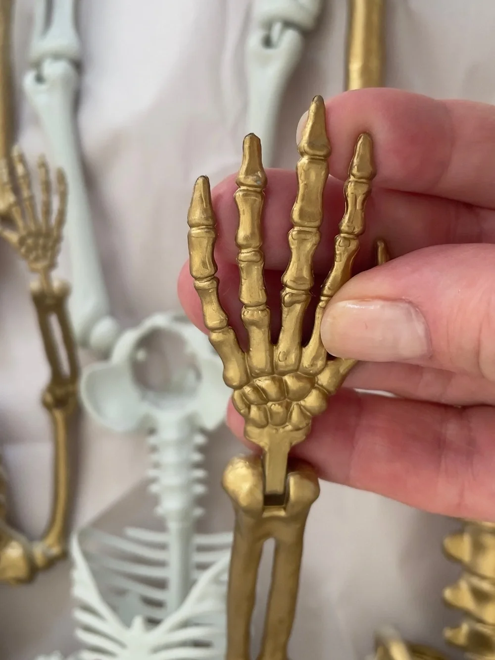 Set of Decorative Skeletons - Gold and White